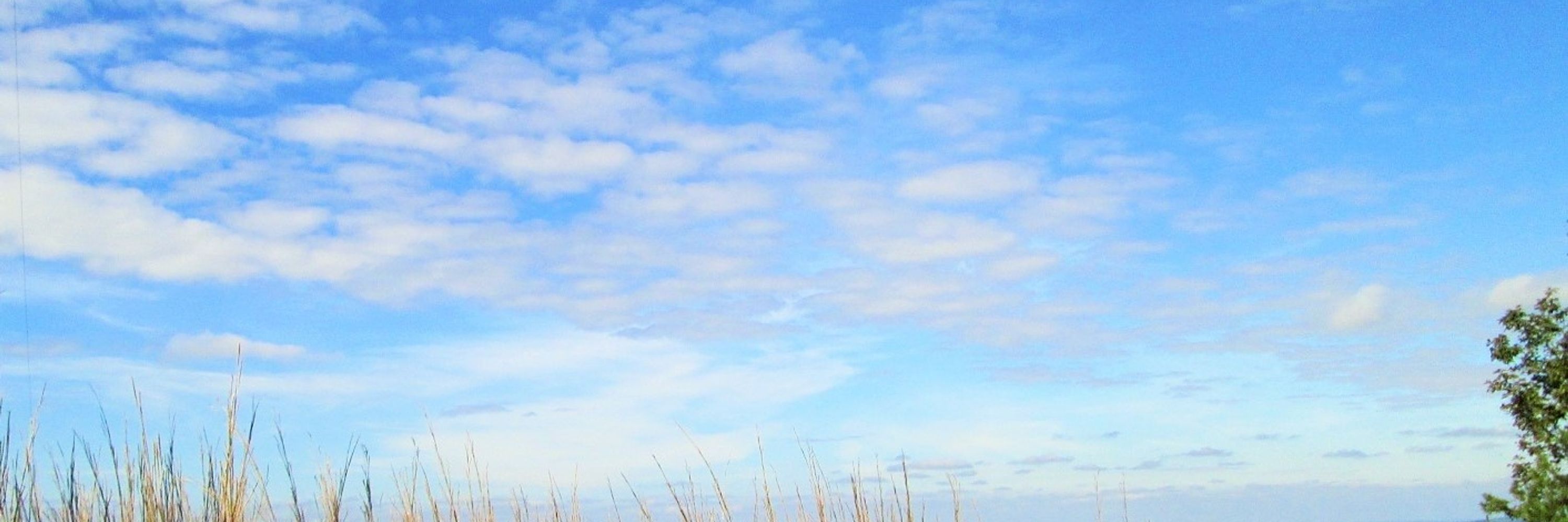 Judi Blue Sky