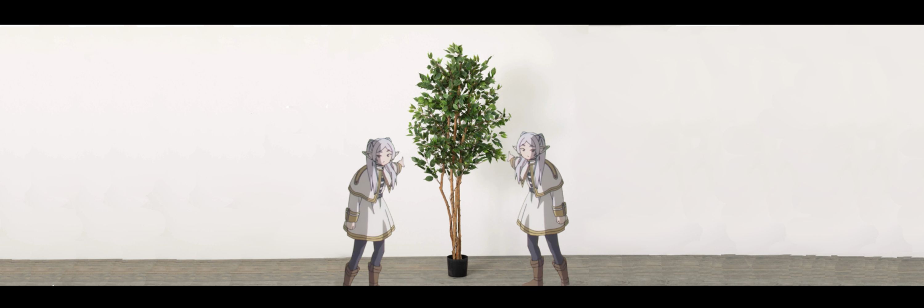 ¿ A Ficus ?