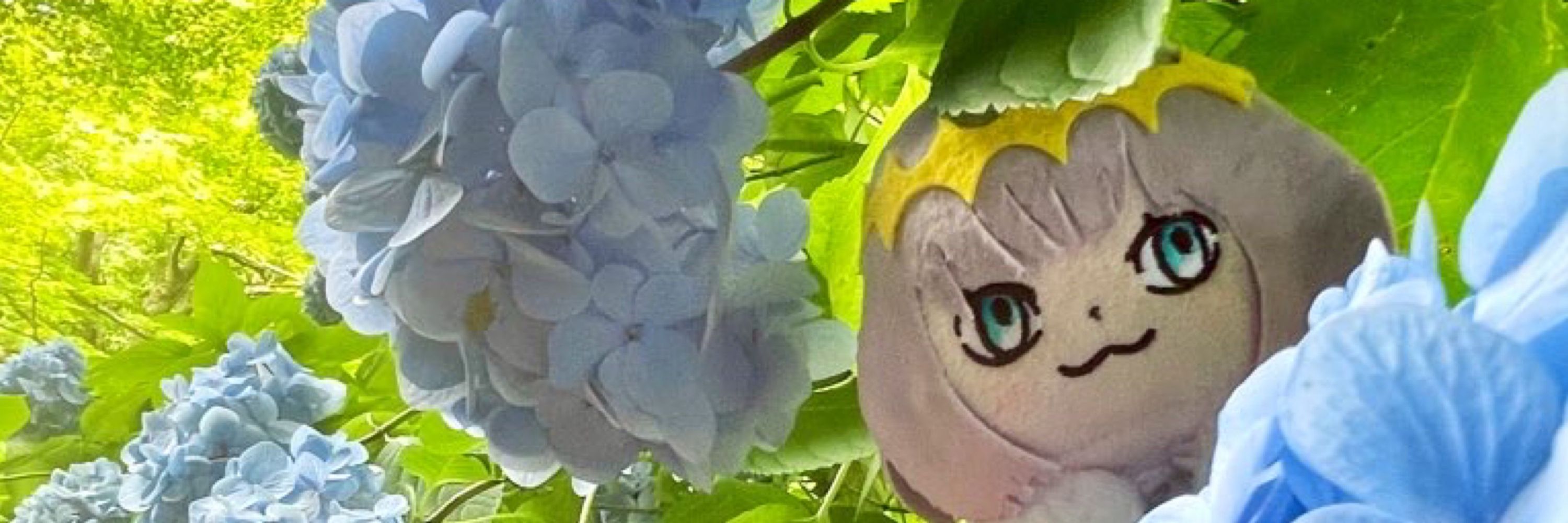 美野高
