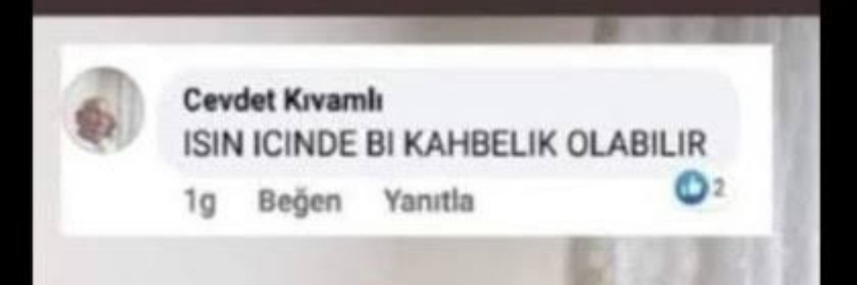 Musanın Sopası