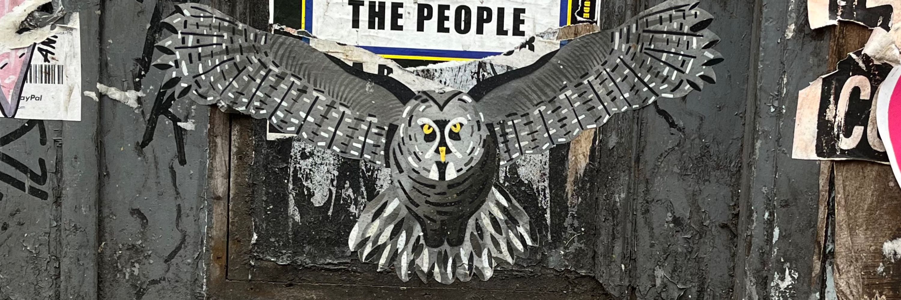A Parliament of Owls