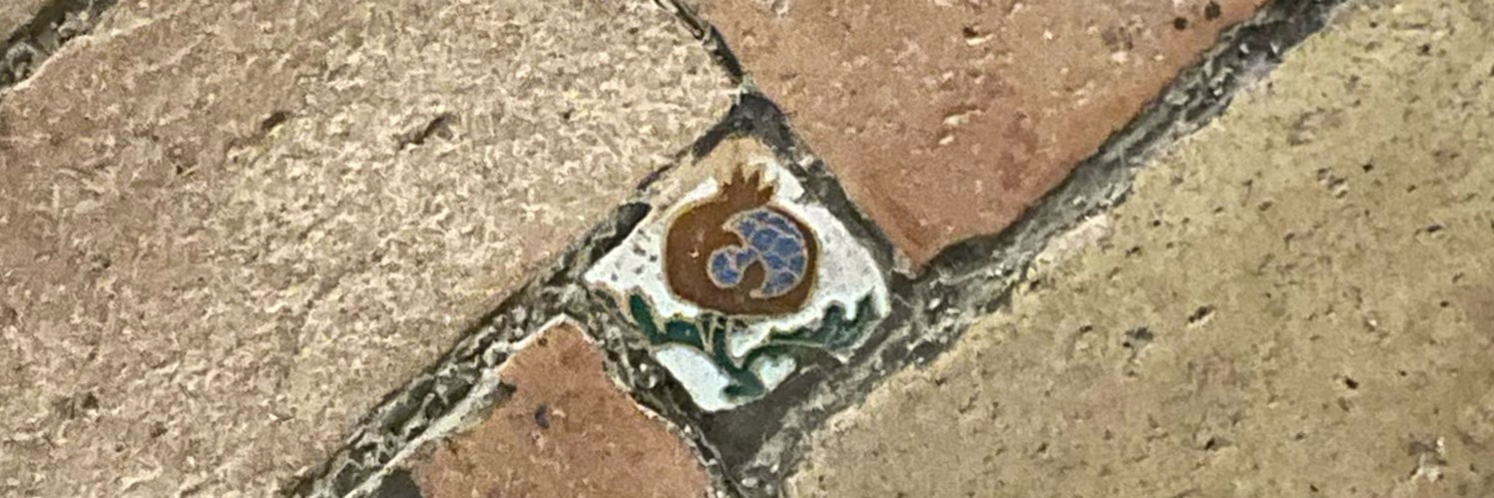 Nenchita 🐉