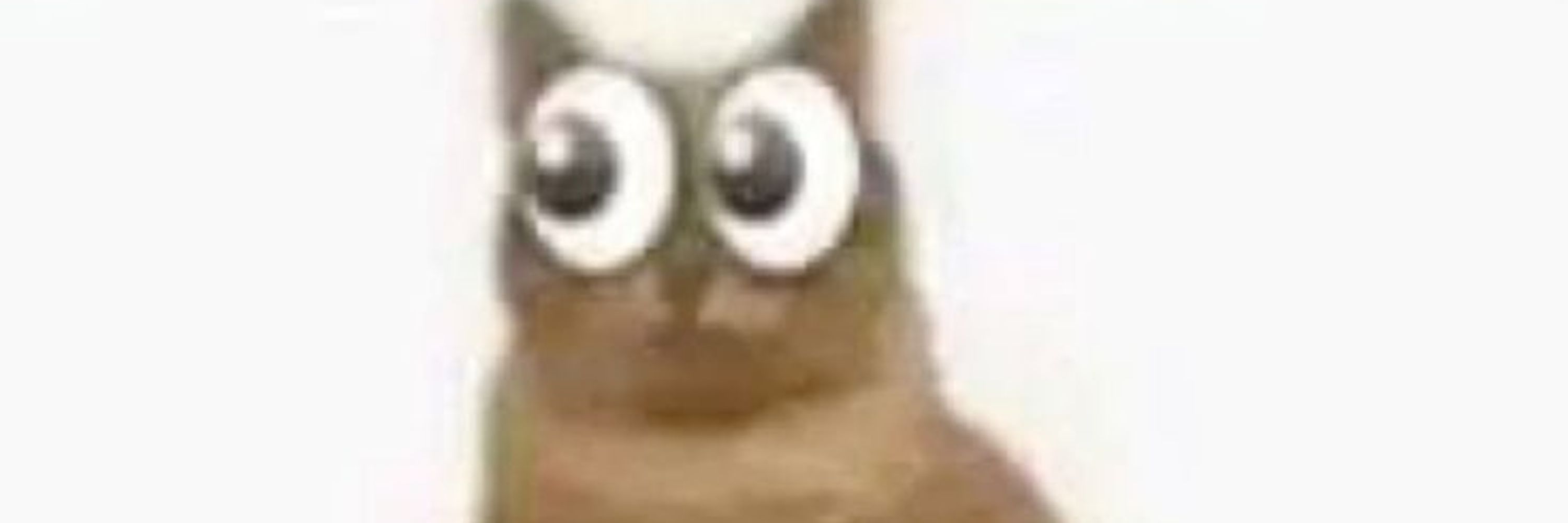 Hey