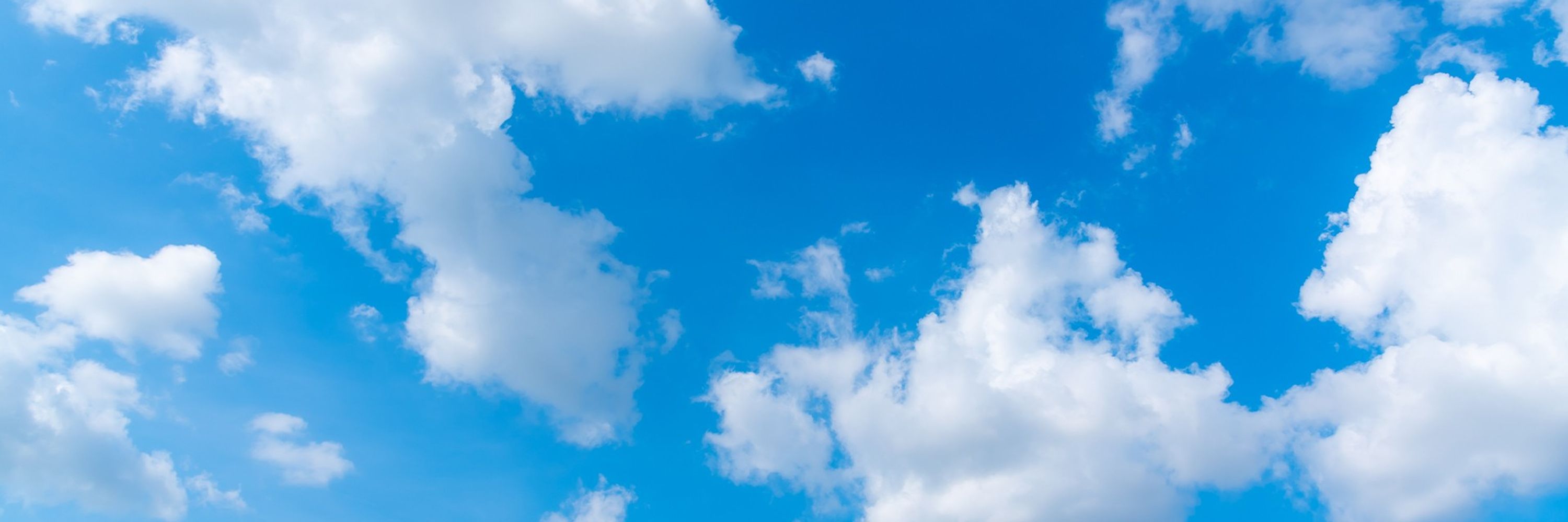 Sky Sentry