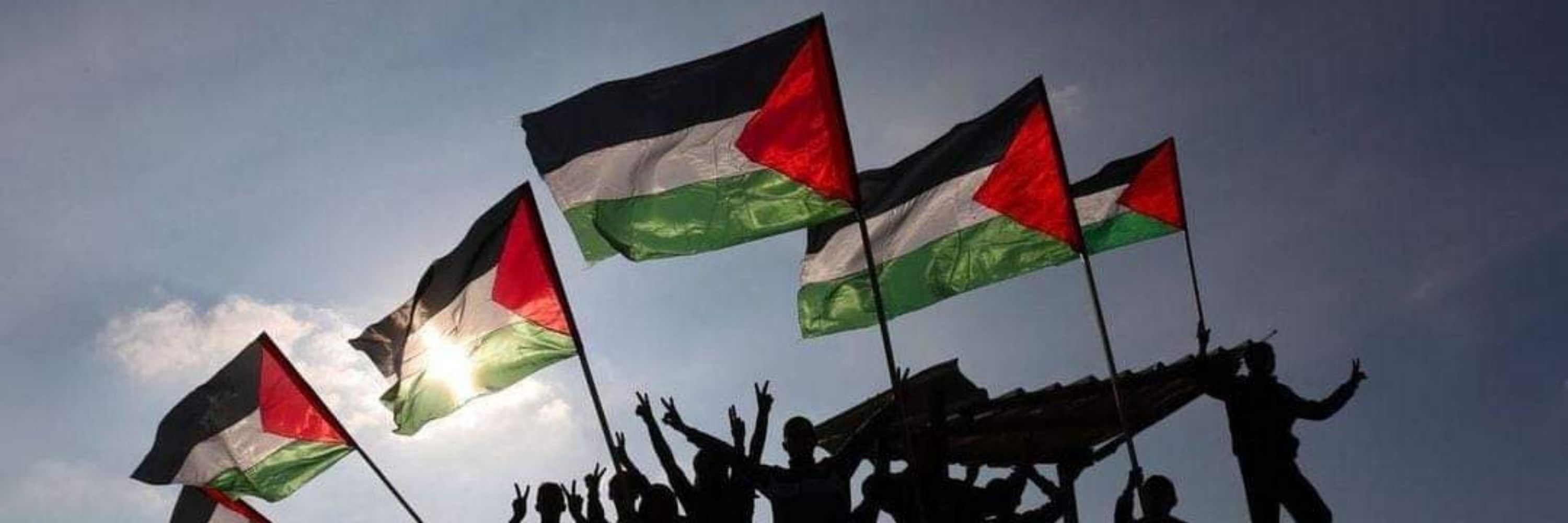 AHMeD Z3iTY 25 ✊🏻 🇵🇸🔻✌🏻 