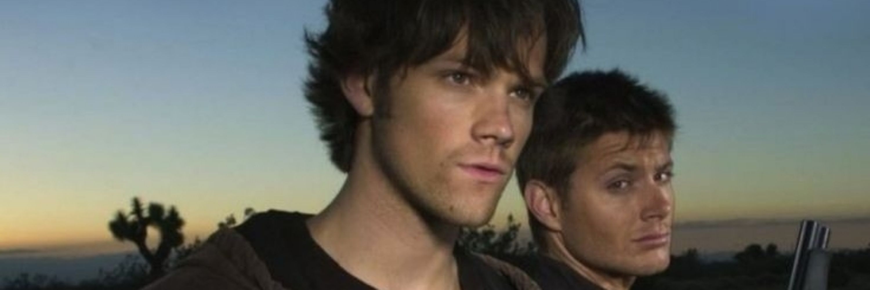 winchester_