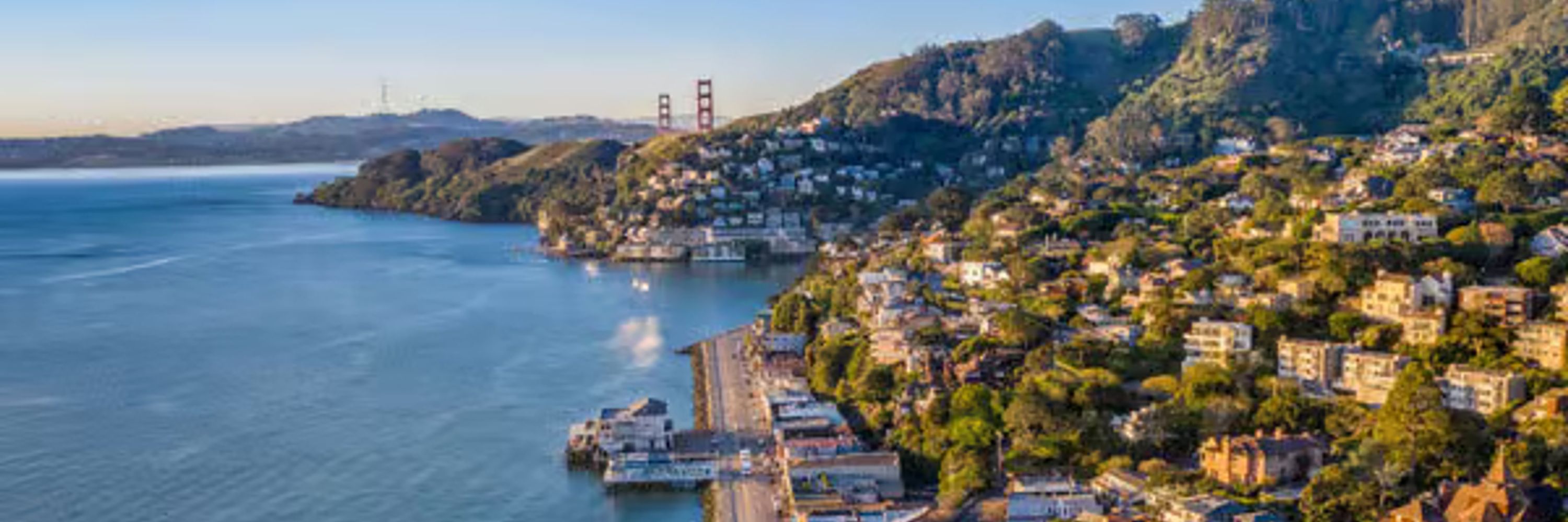Madeline Schaider Real Estate