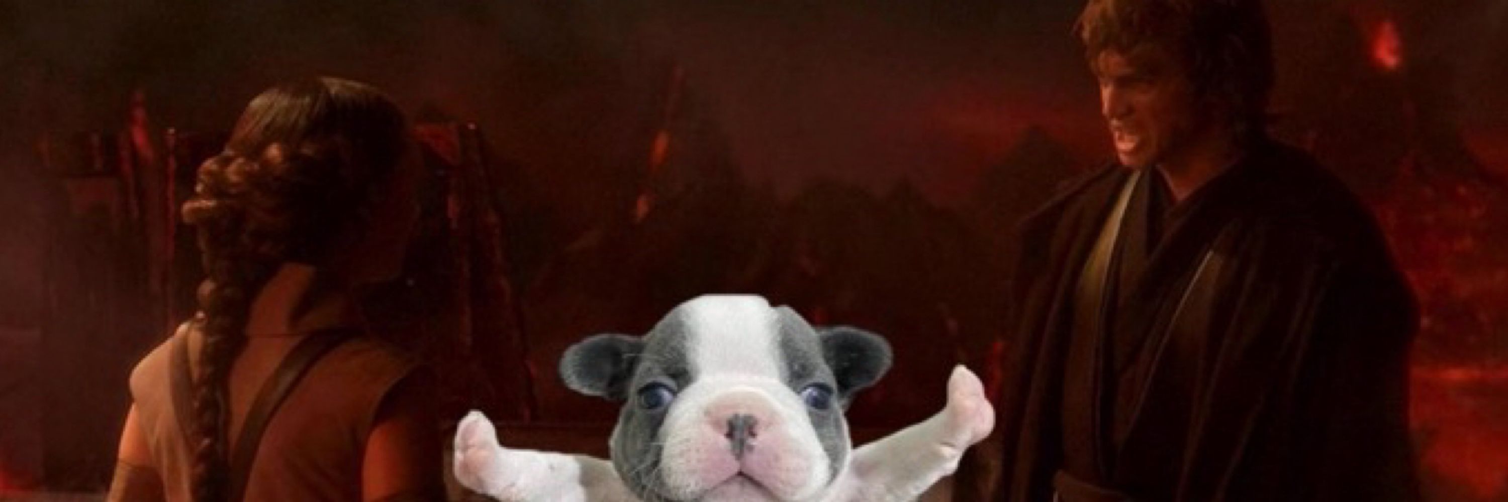 just a 'lil guy