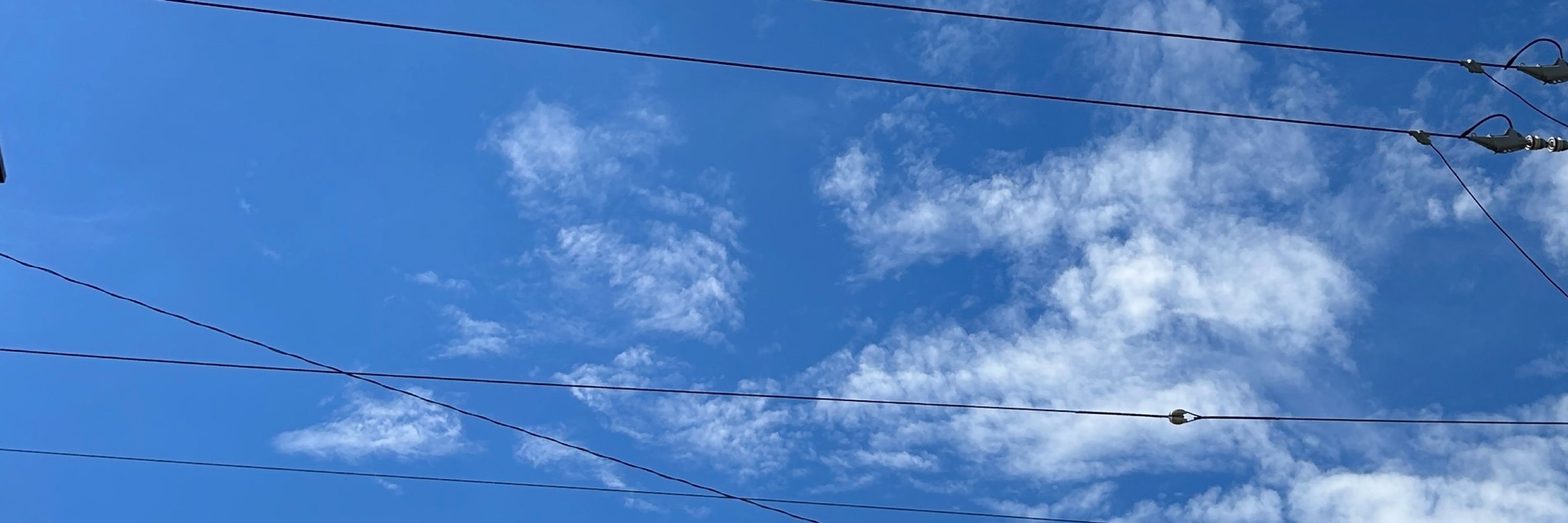 ﾕｷｦ•ﾉｺ