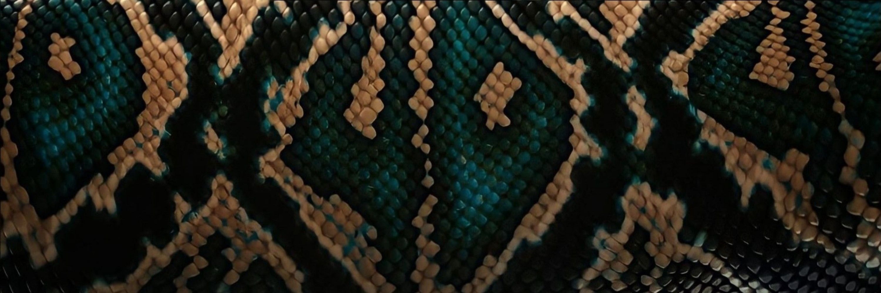 𝕵𝖚𝖑𝖎𝖔 𝕮𝖔𝖗𝖗𝖊𝖎𝖆