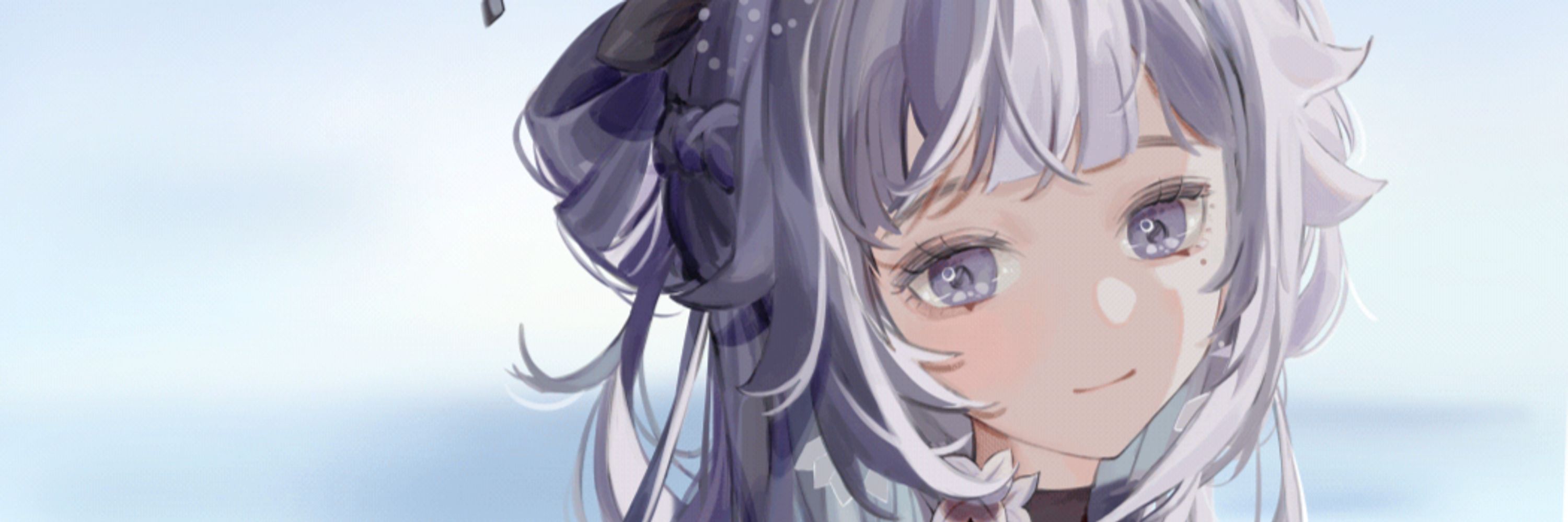 eira 