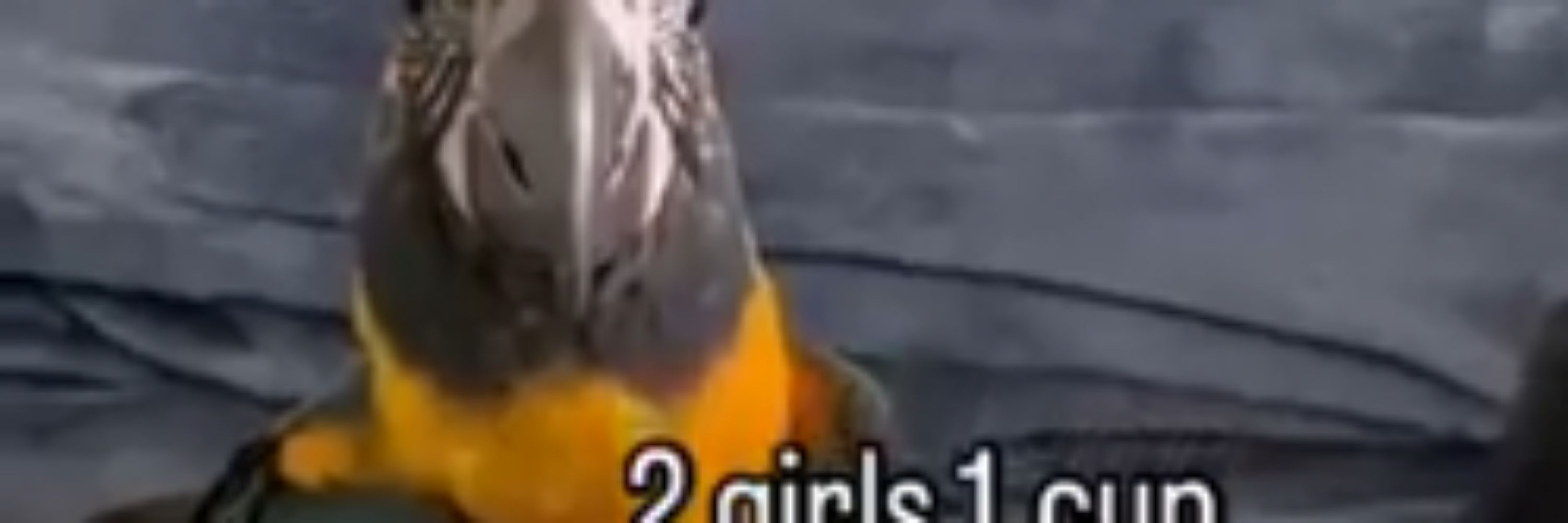choco