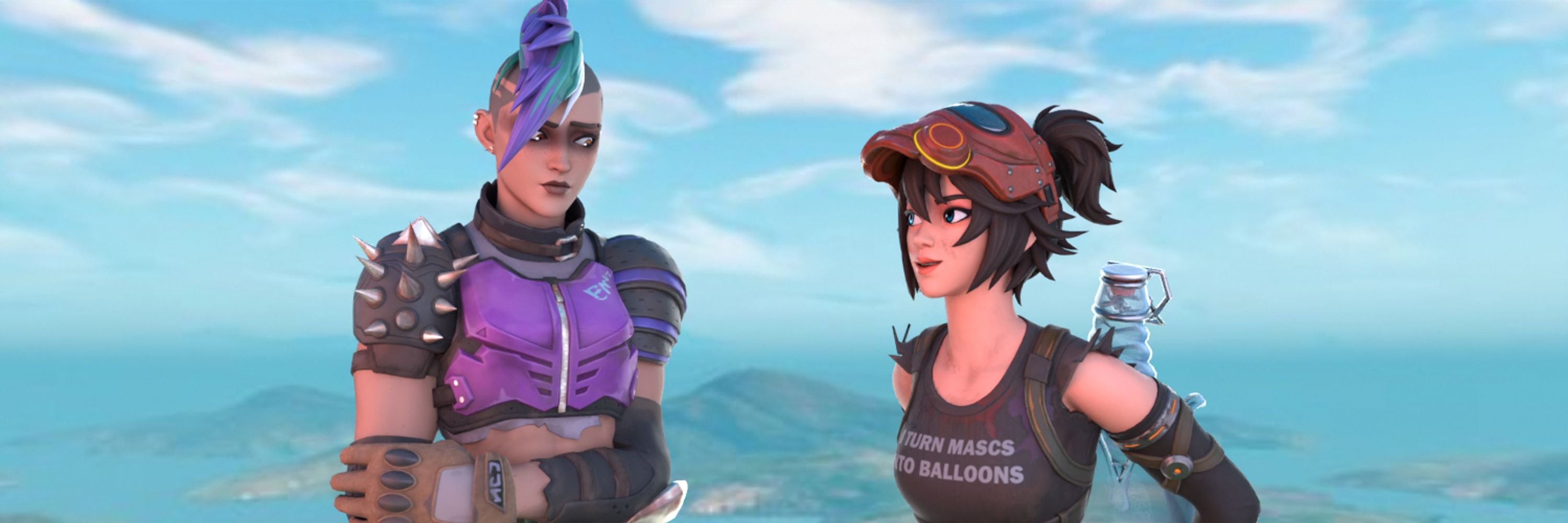 banner
