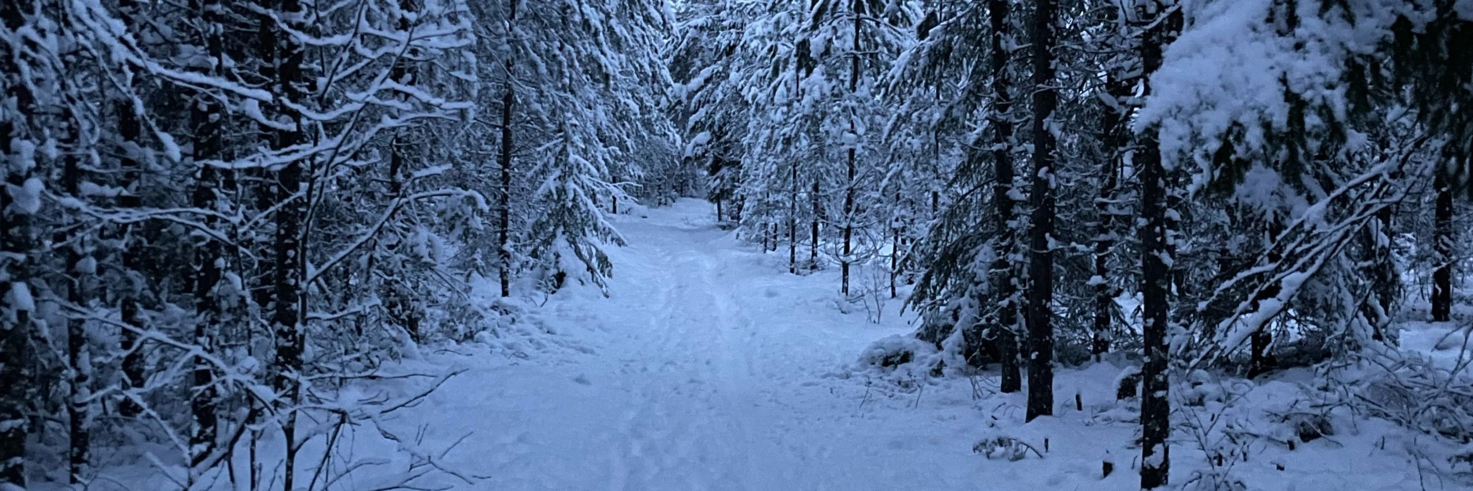 LauraKananen