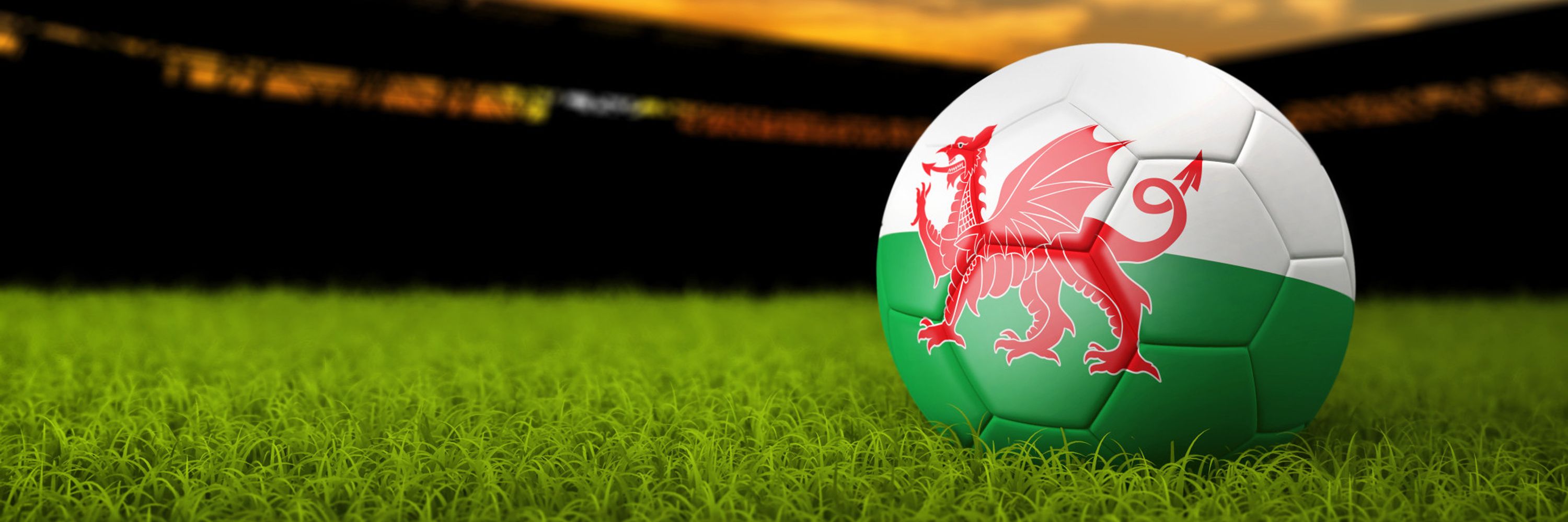 Bot Pêl-droed Cymru