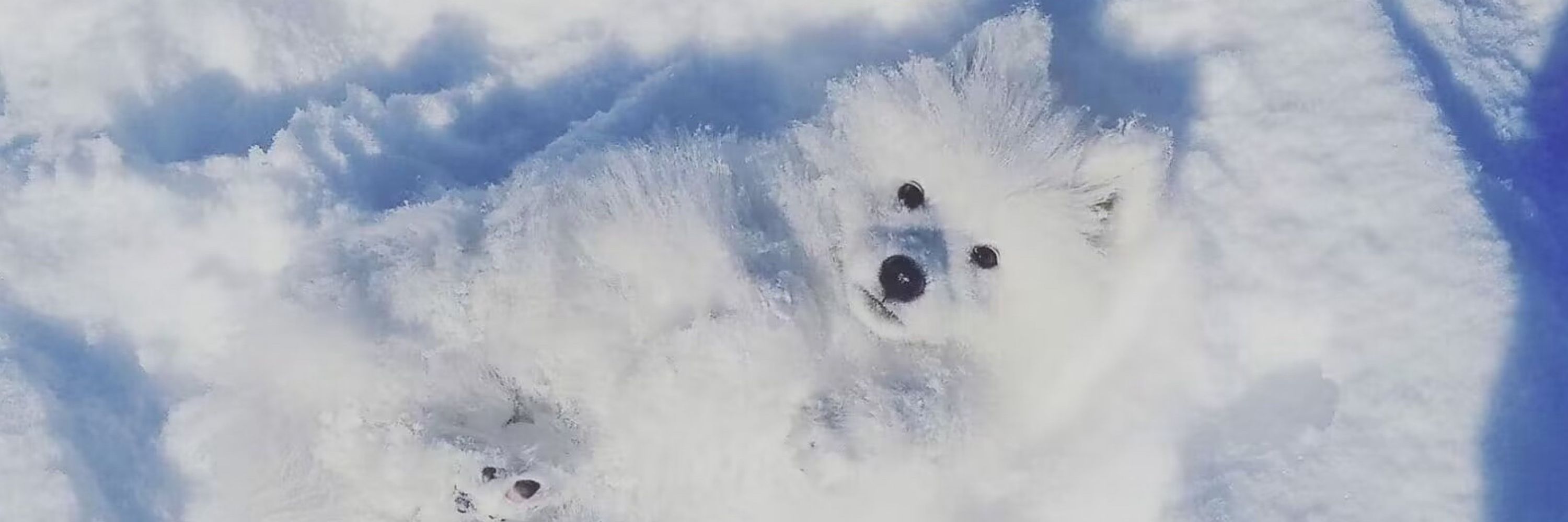 ❄️雪中的天国超市❄️