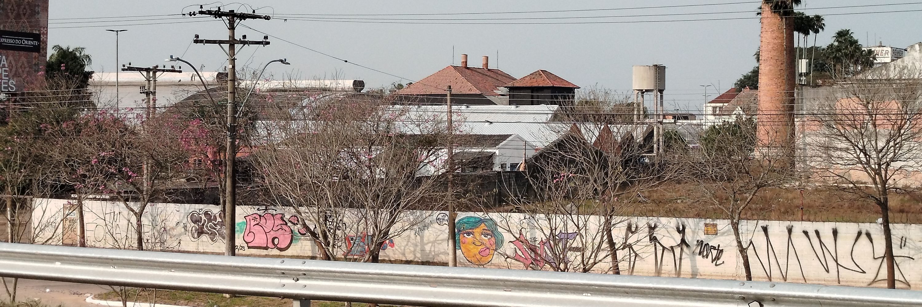 cauan