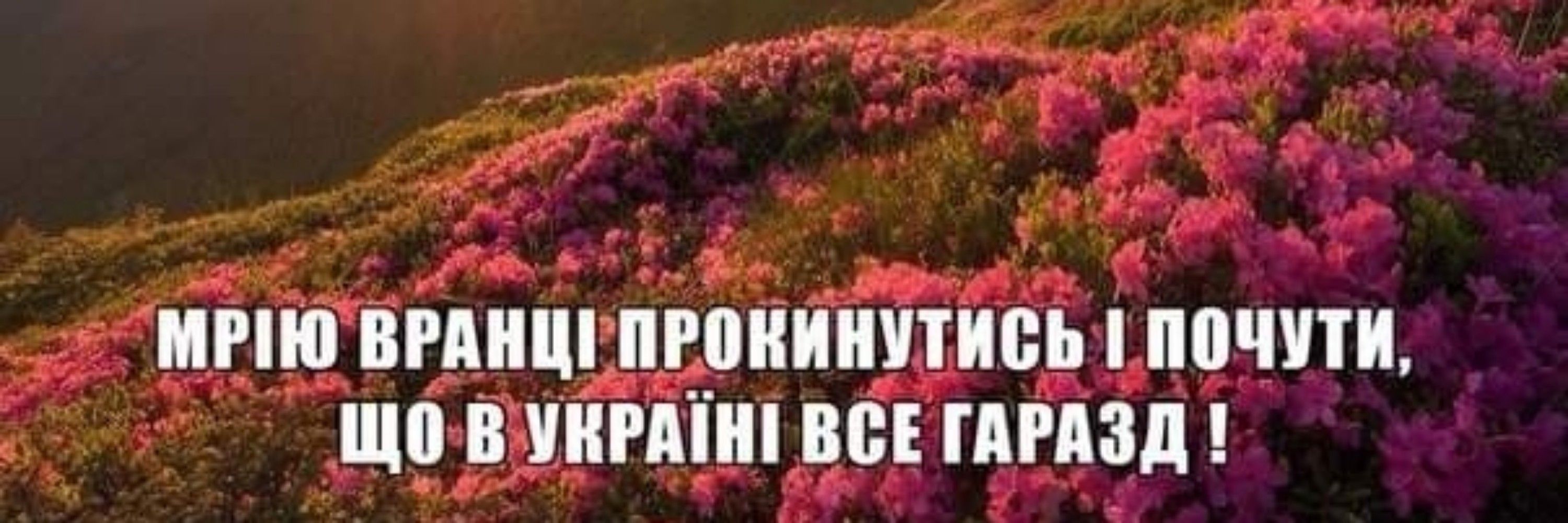 ПростаОксана🇺🇦