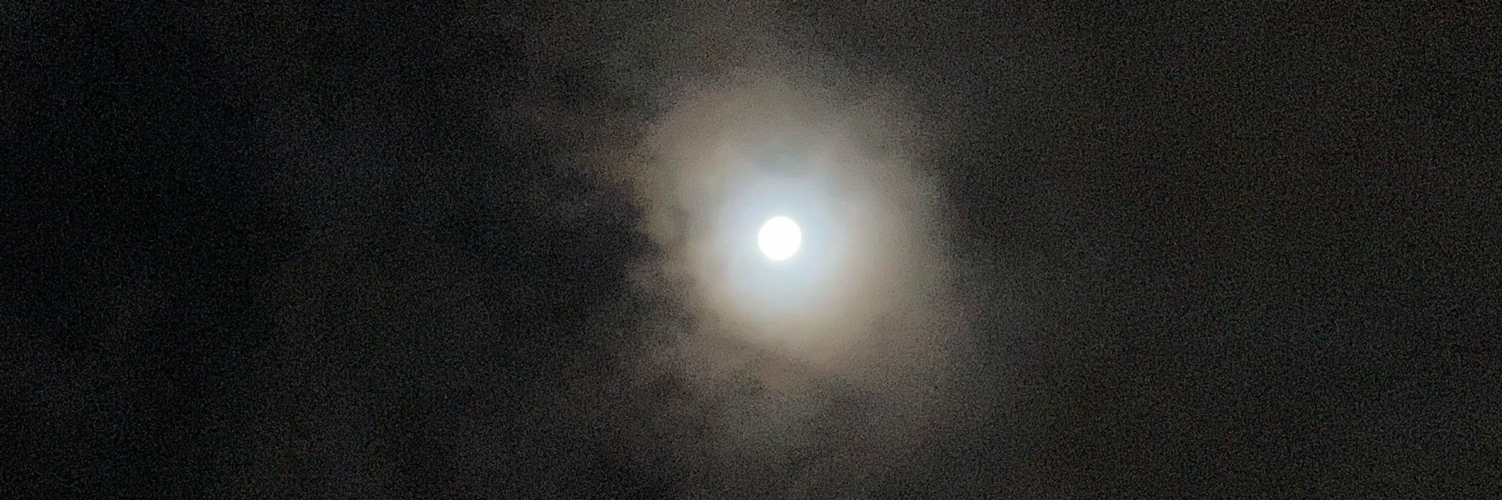 理