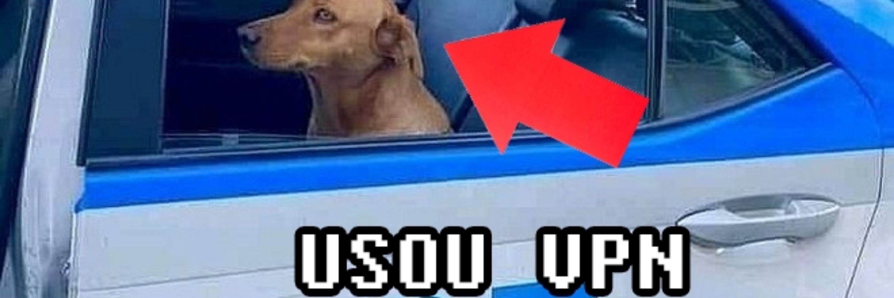 carlosmsc