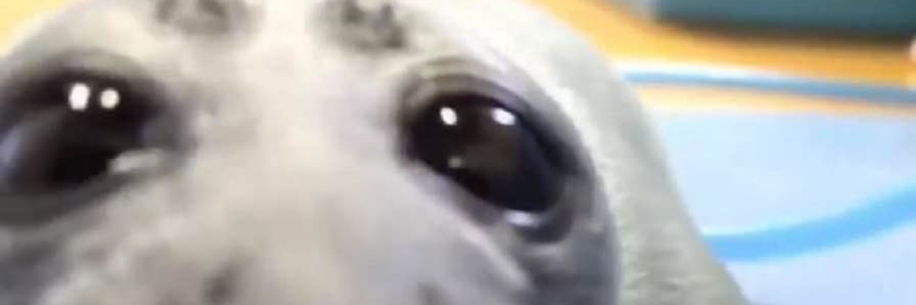 bombasticbri