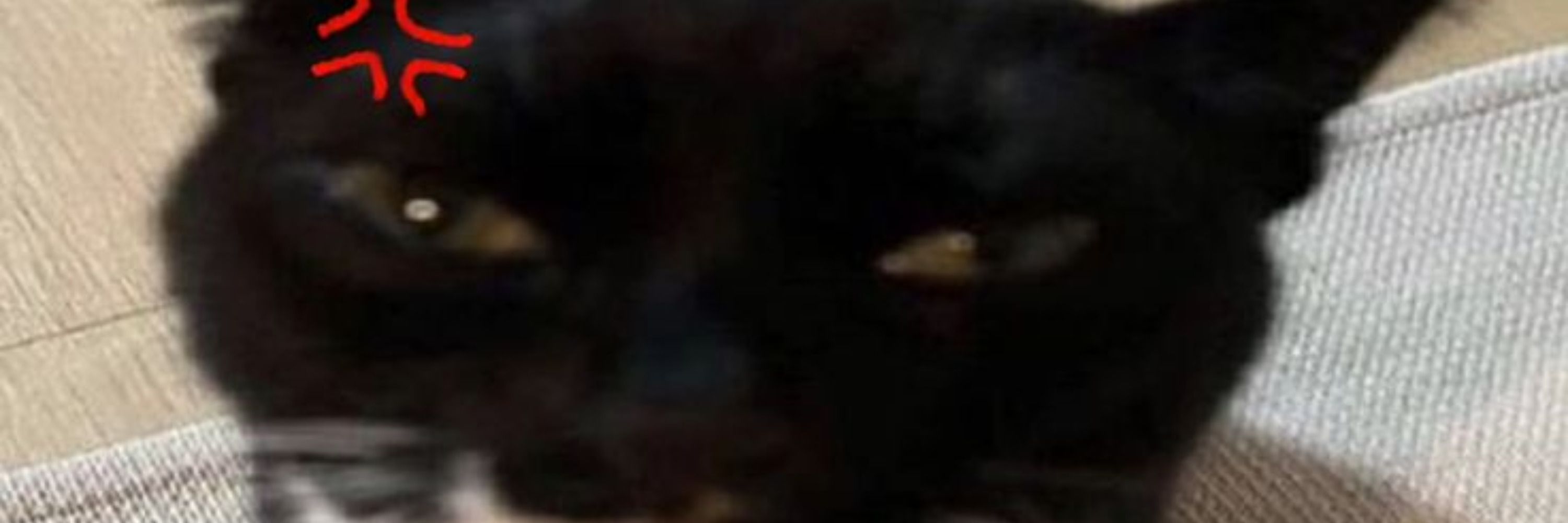 c0de