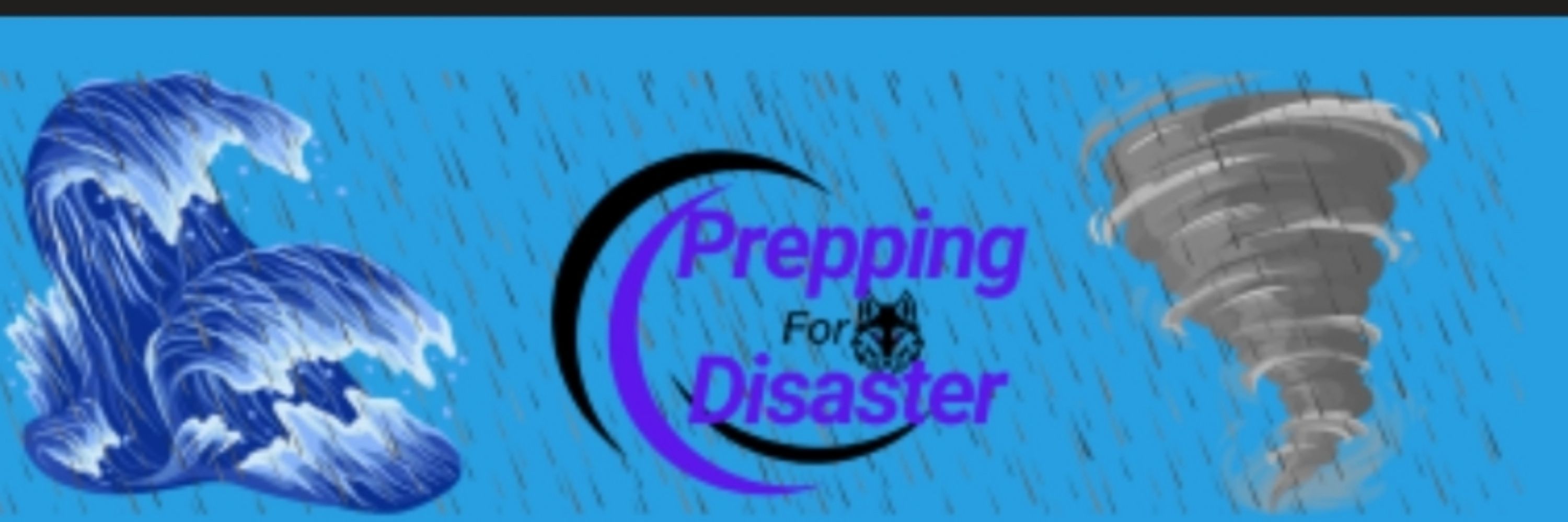 Prep4Disaster