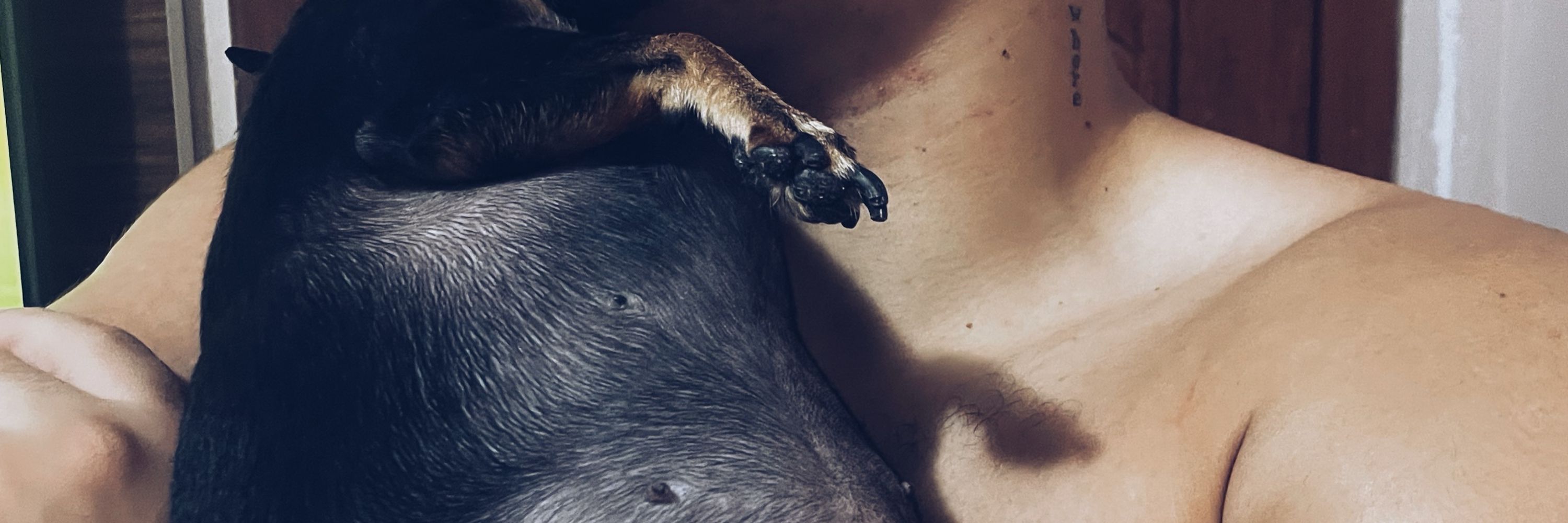 iza