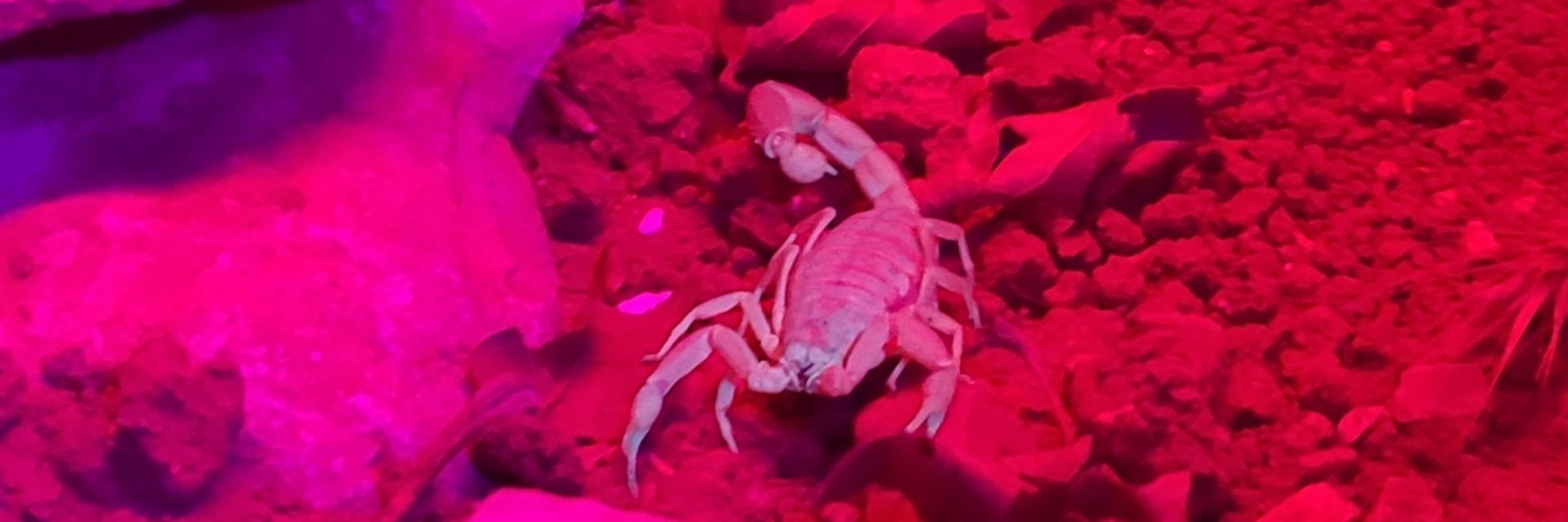 𝚂𝚝𝚏𝚗𝚂𝚕
