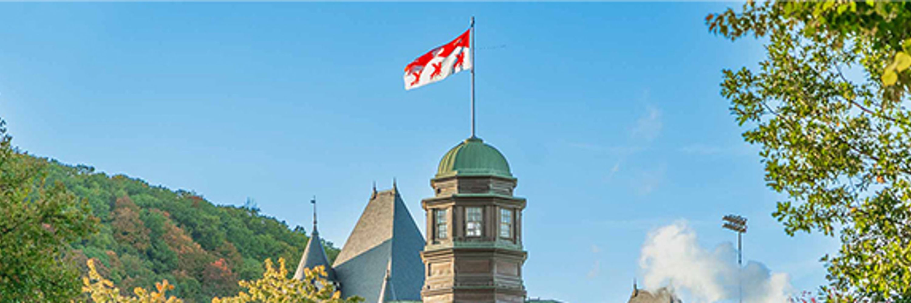 McGill University