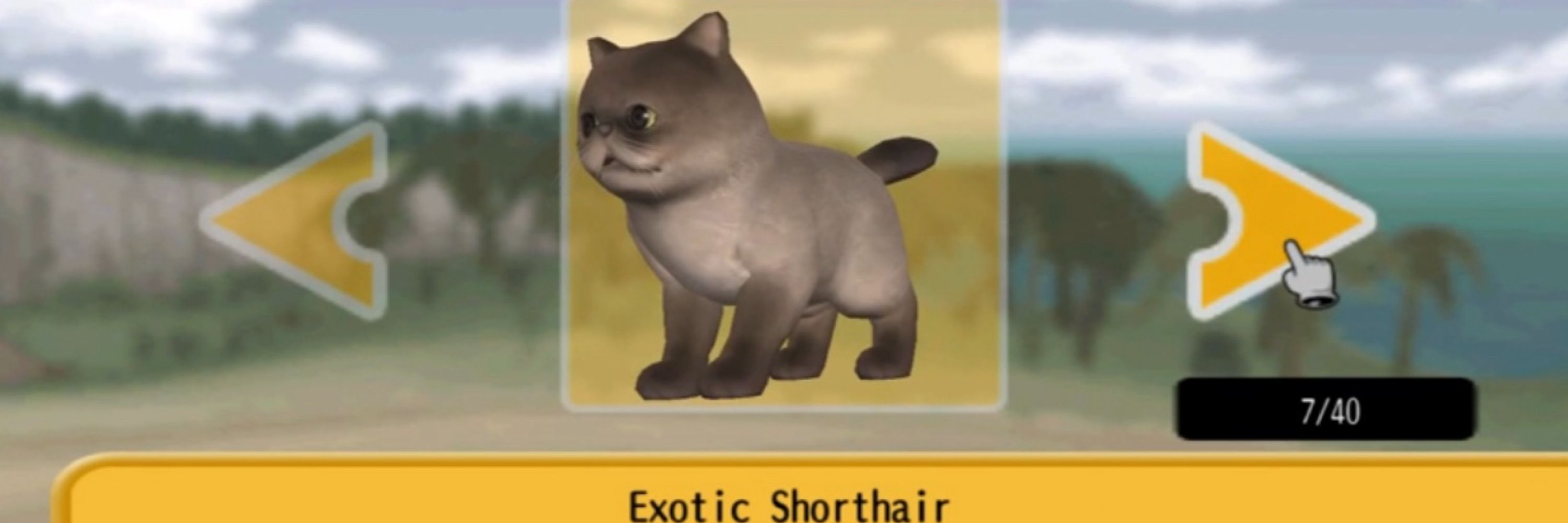 Shinsi
