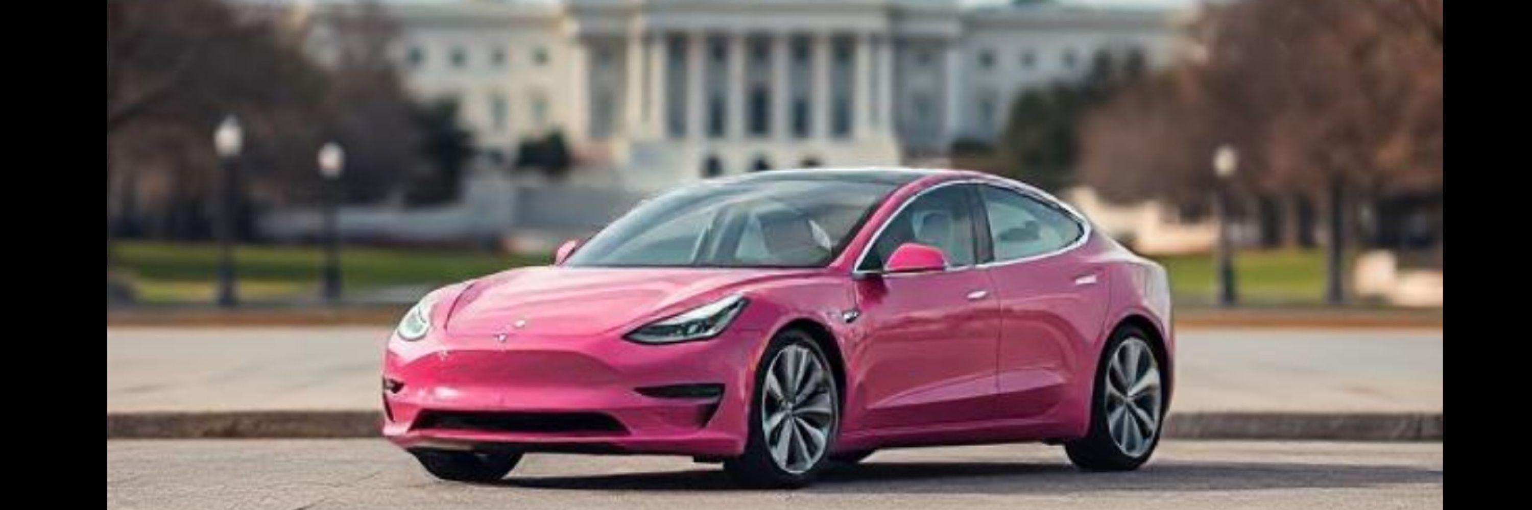 Elon’s Assistant