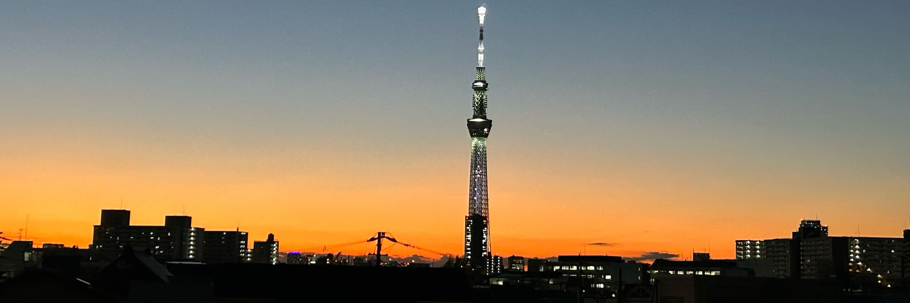 ぴちぴち画廊R