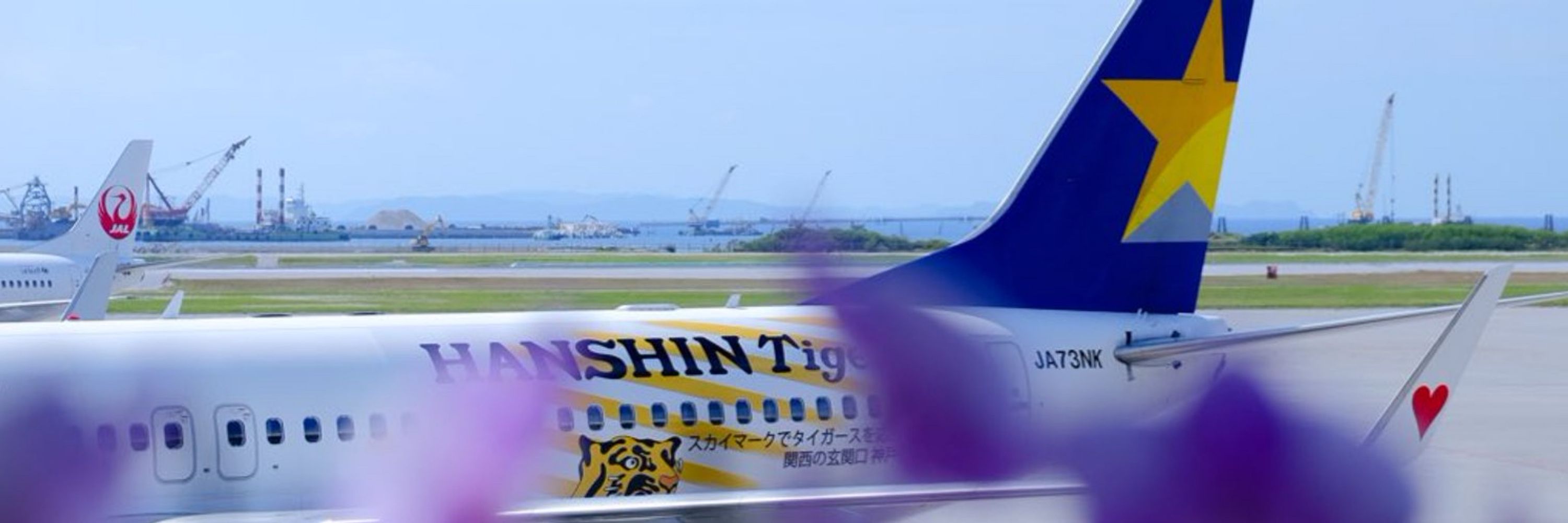 aym / ぁゅ*✈️⭐️