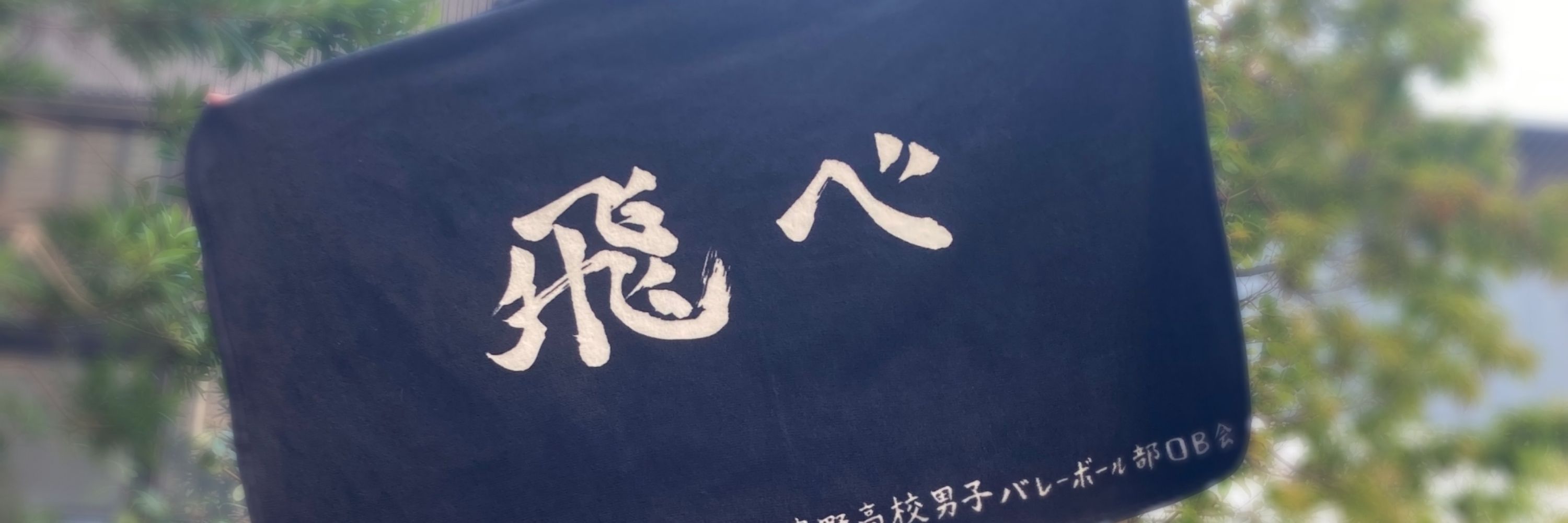 翠藍
