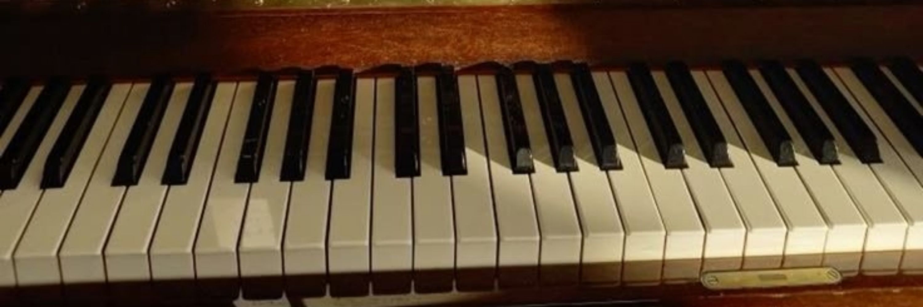 jelly ! 🎹💛