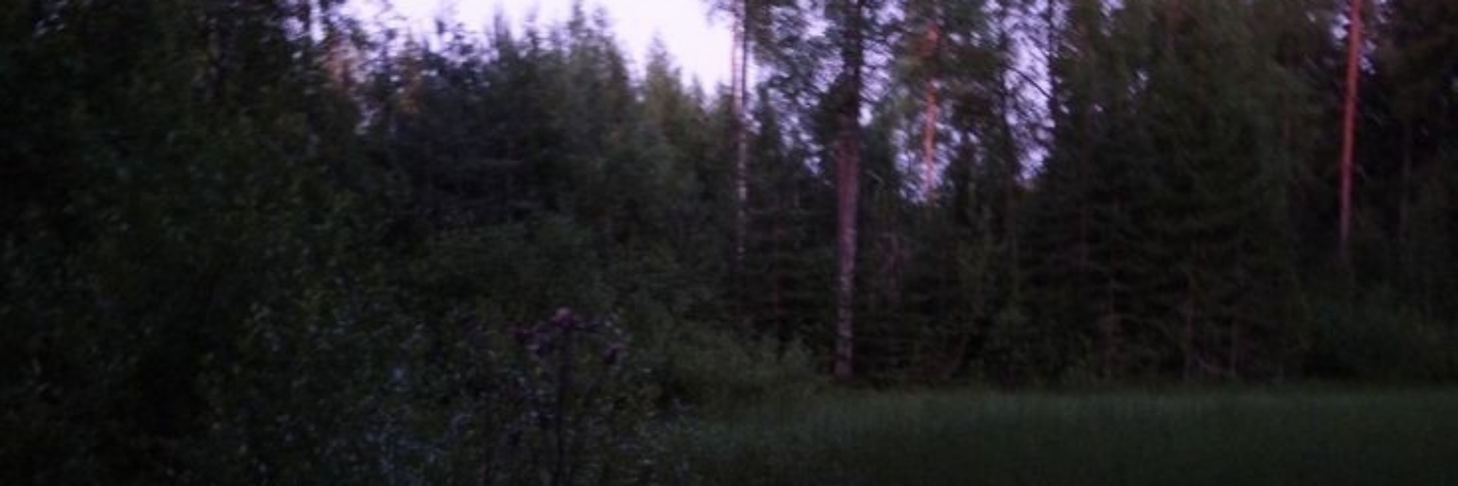 Qfqfqfqf ⋆