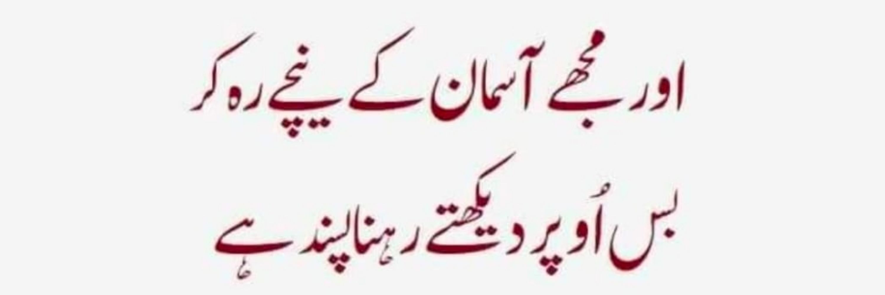 Imran Haider PTI