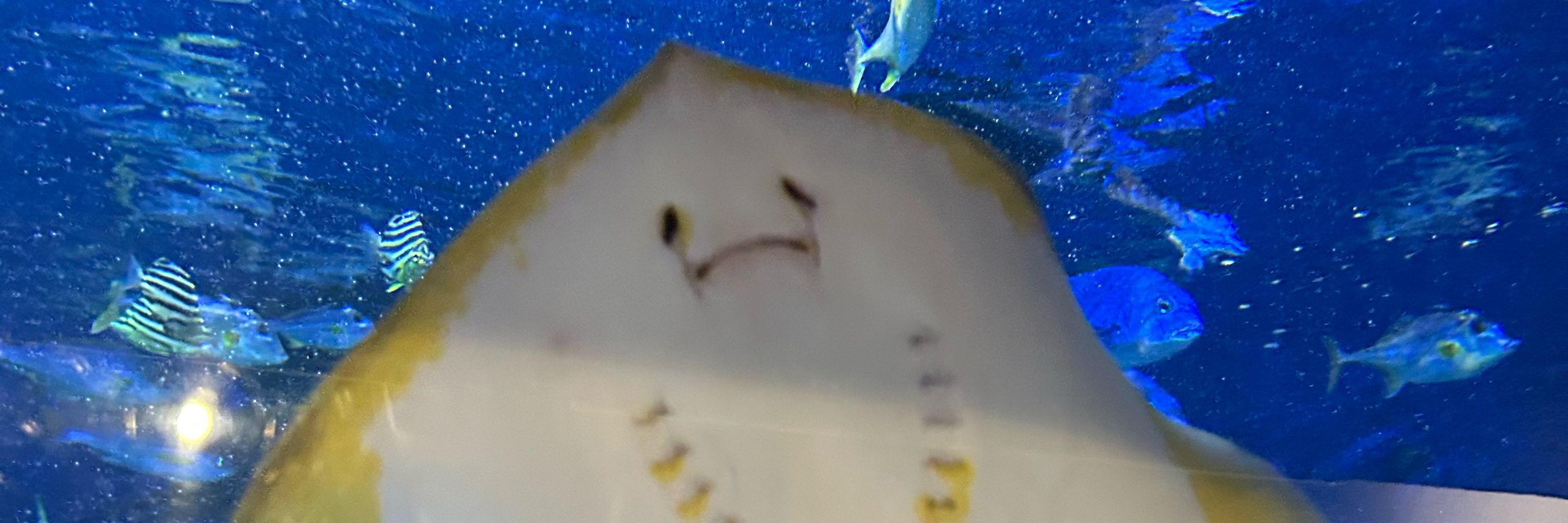 O2