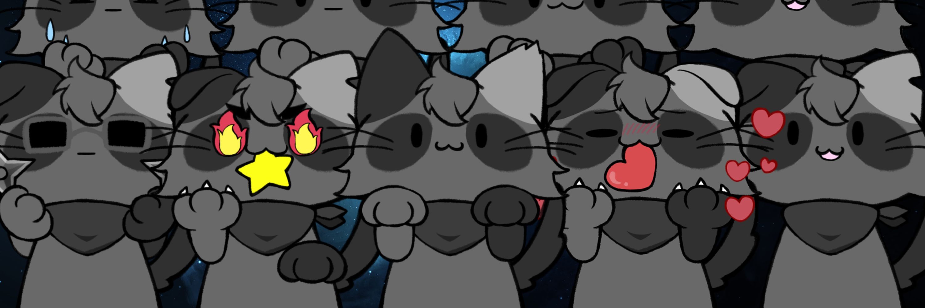 Neko Mapache