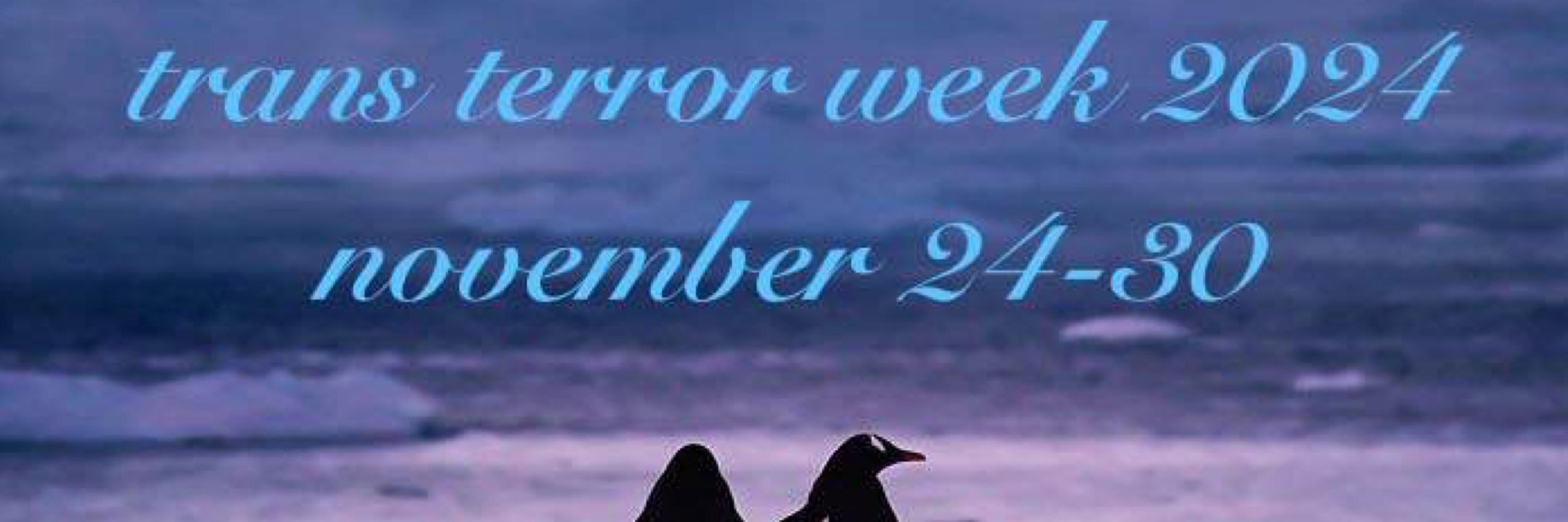 trans terror week (nov 24-30)