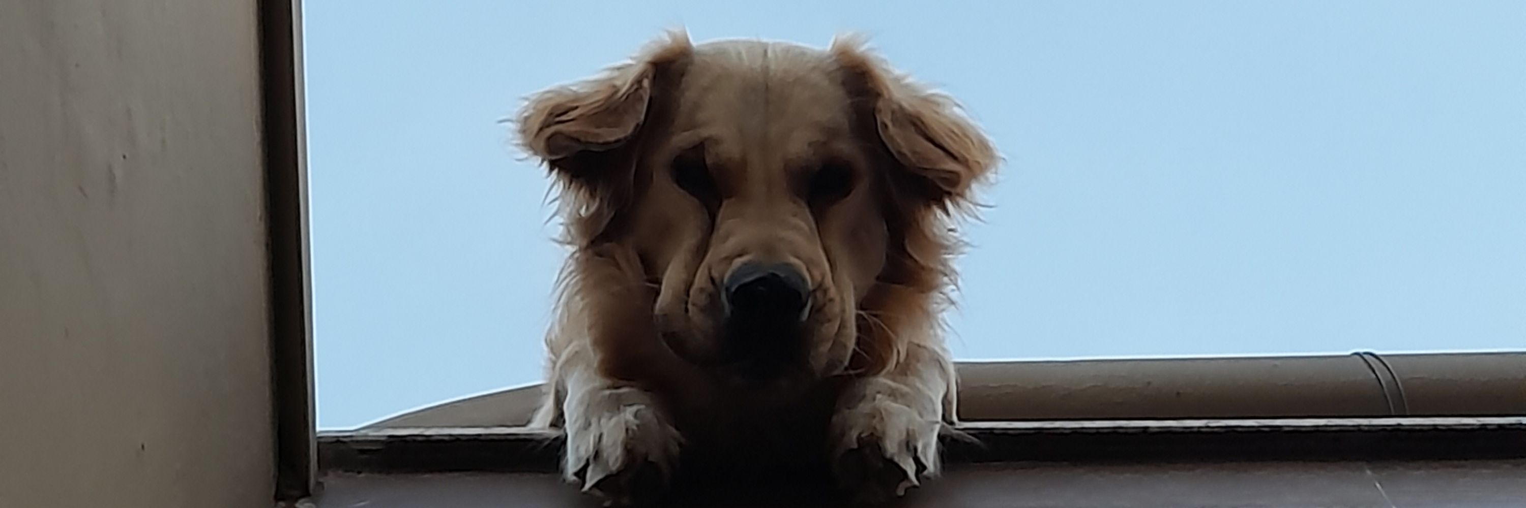 Mi 
