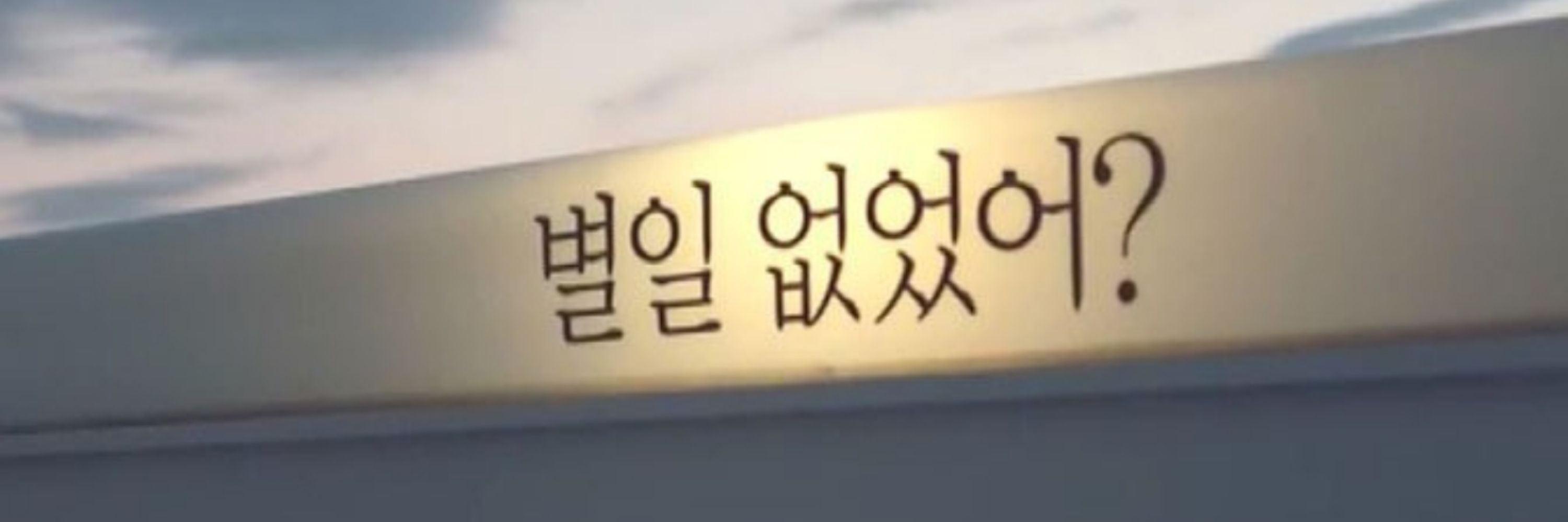 곰돼지