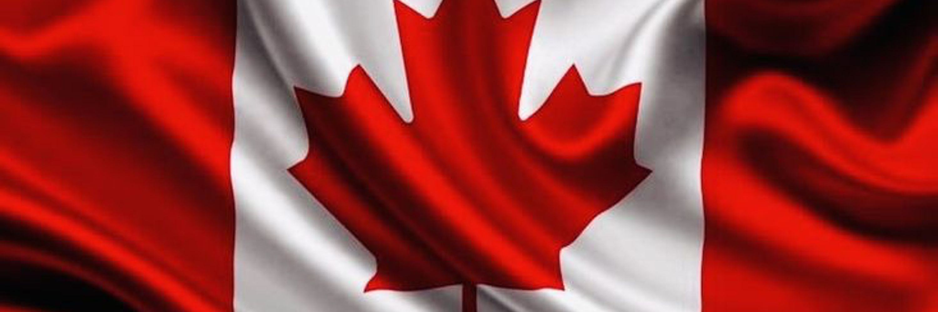 Sean 🇨🇦✌️💚;