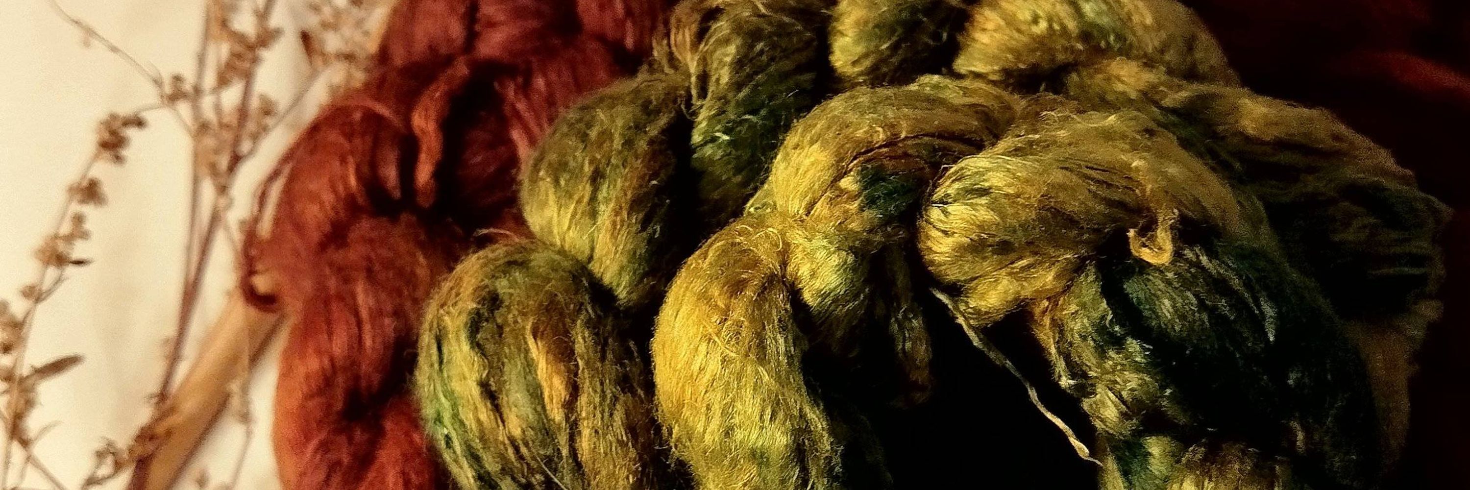 L'Oeil de Loup