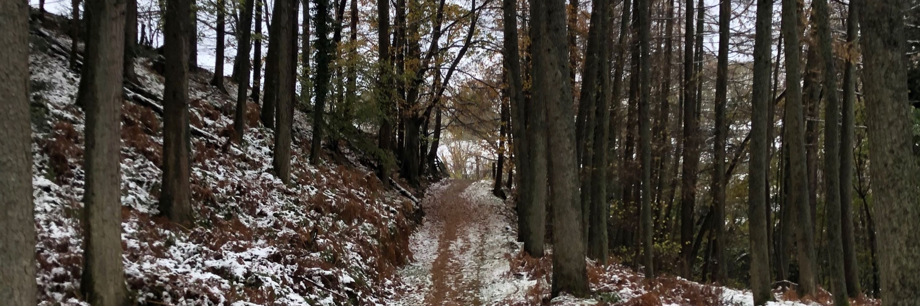 J Wilderness