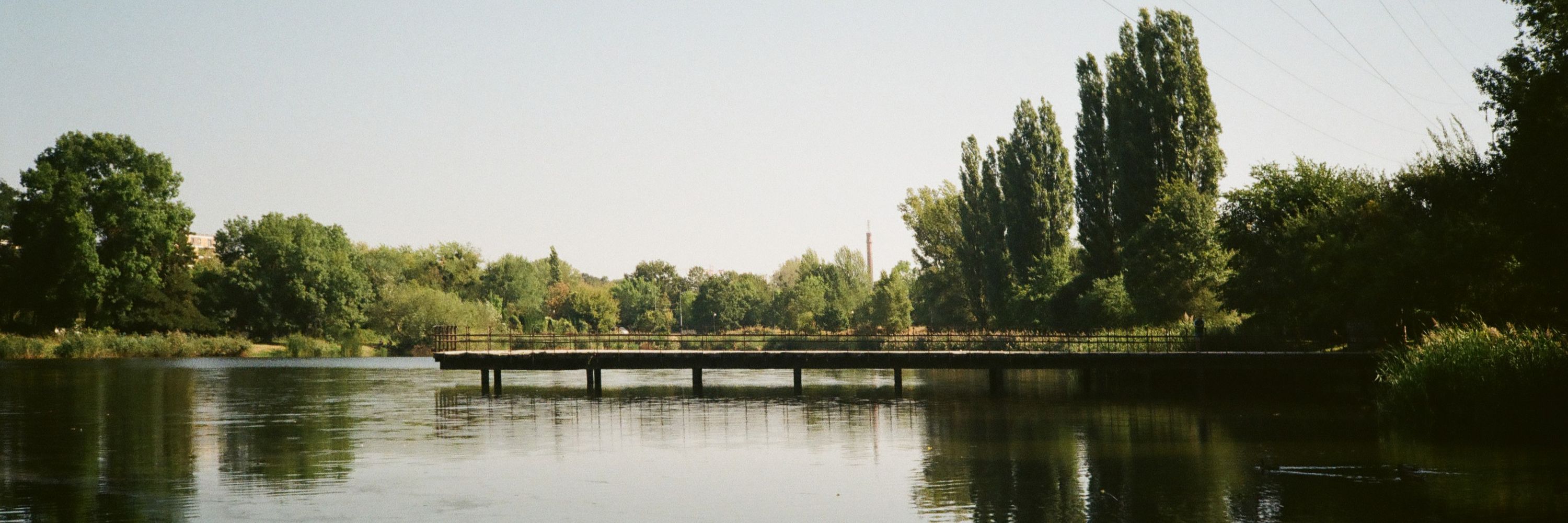 Bluszcz