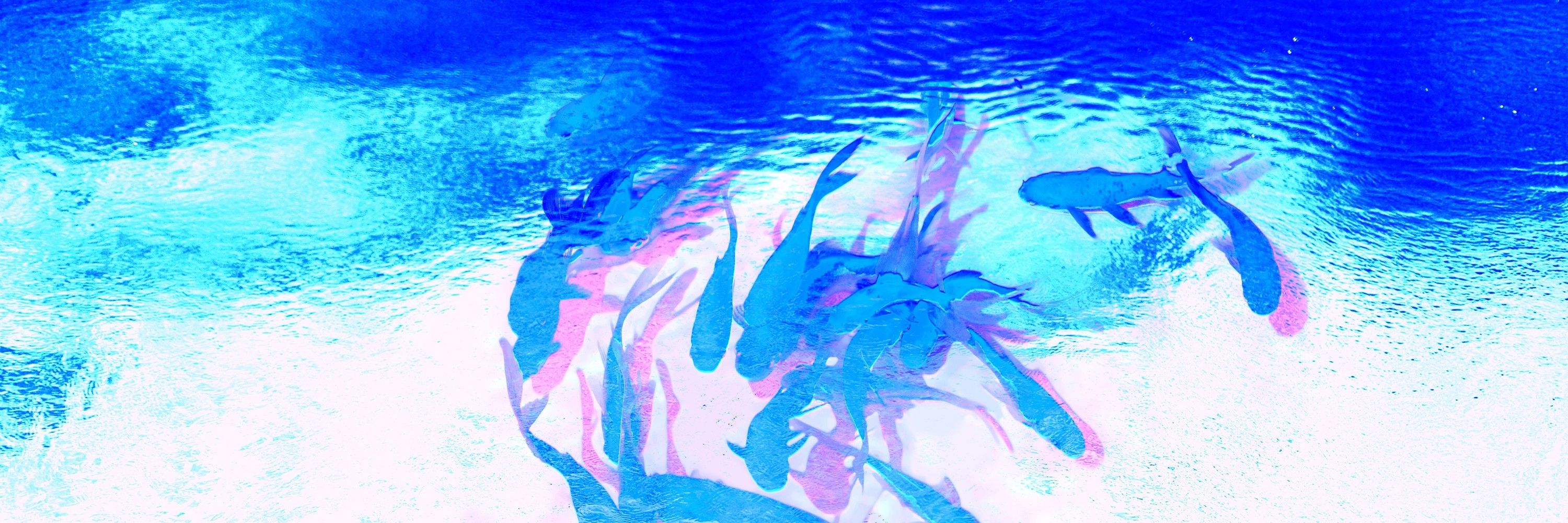 파랑