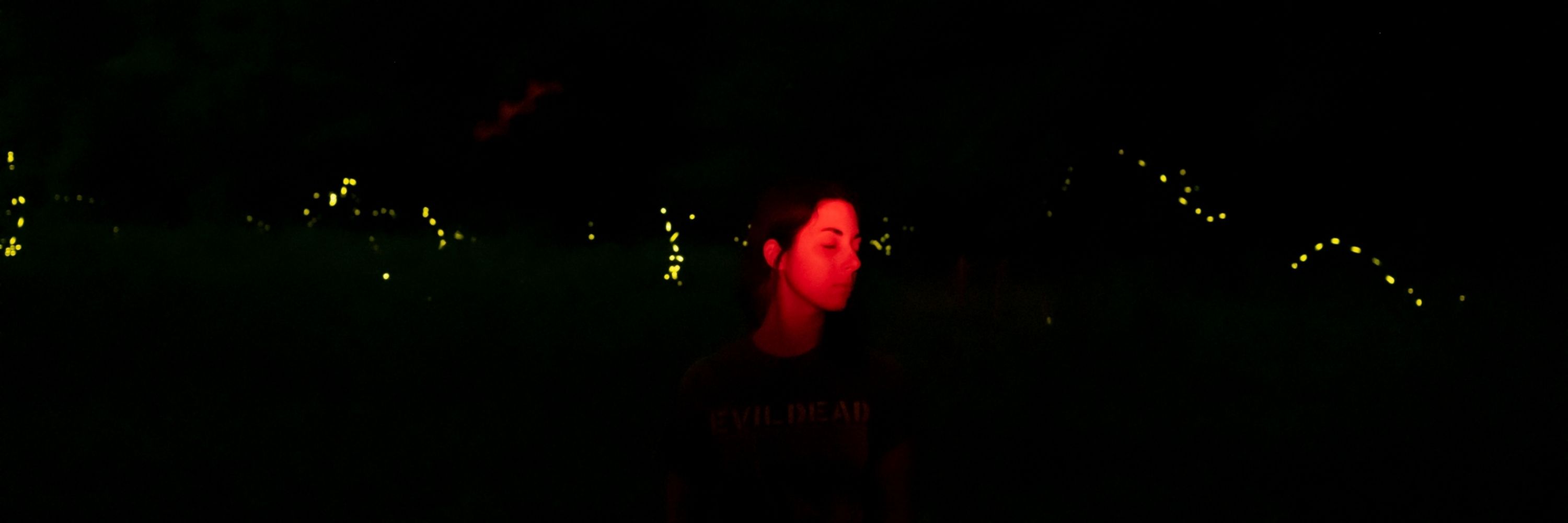 Glow Worm