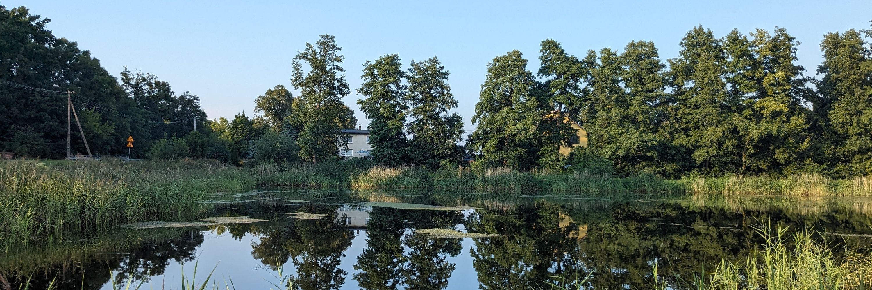 efsiedemcjo